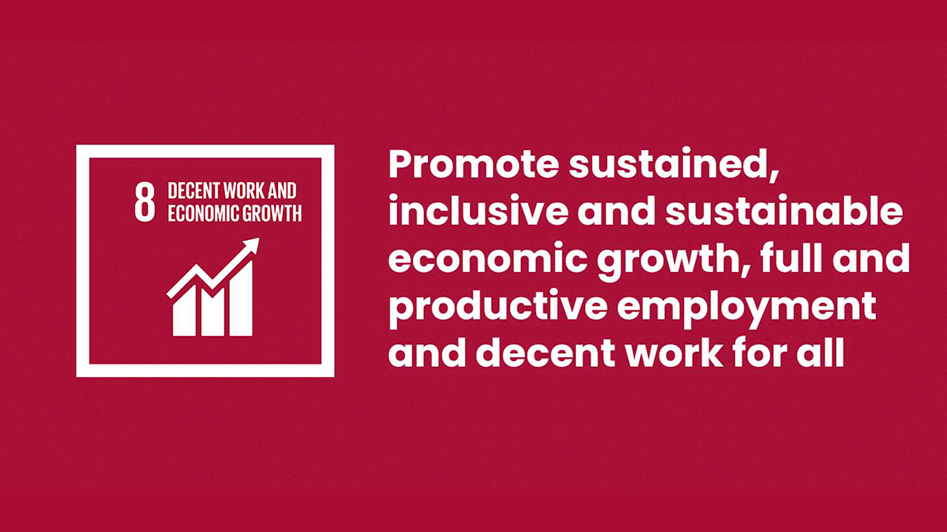 SDG 8 logo for website.png