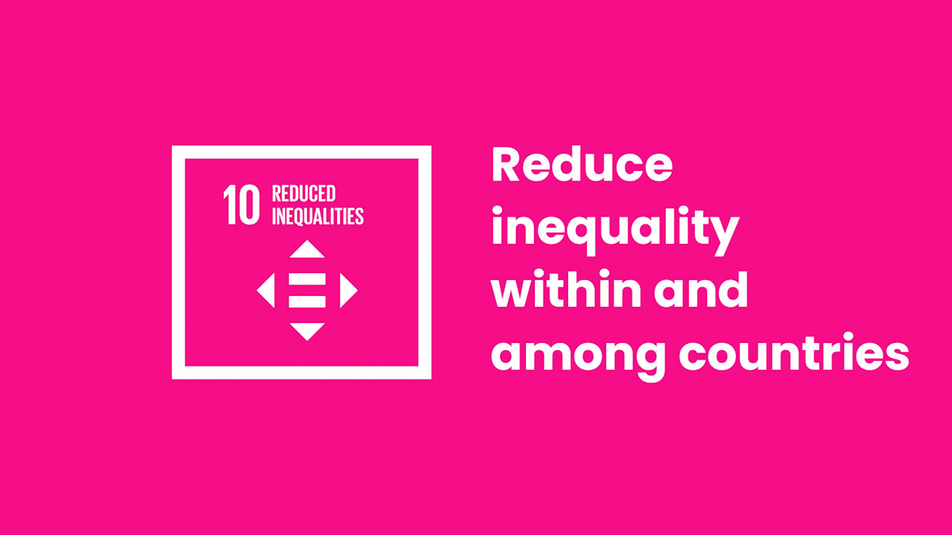 SDG 10 logo for website.png