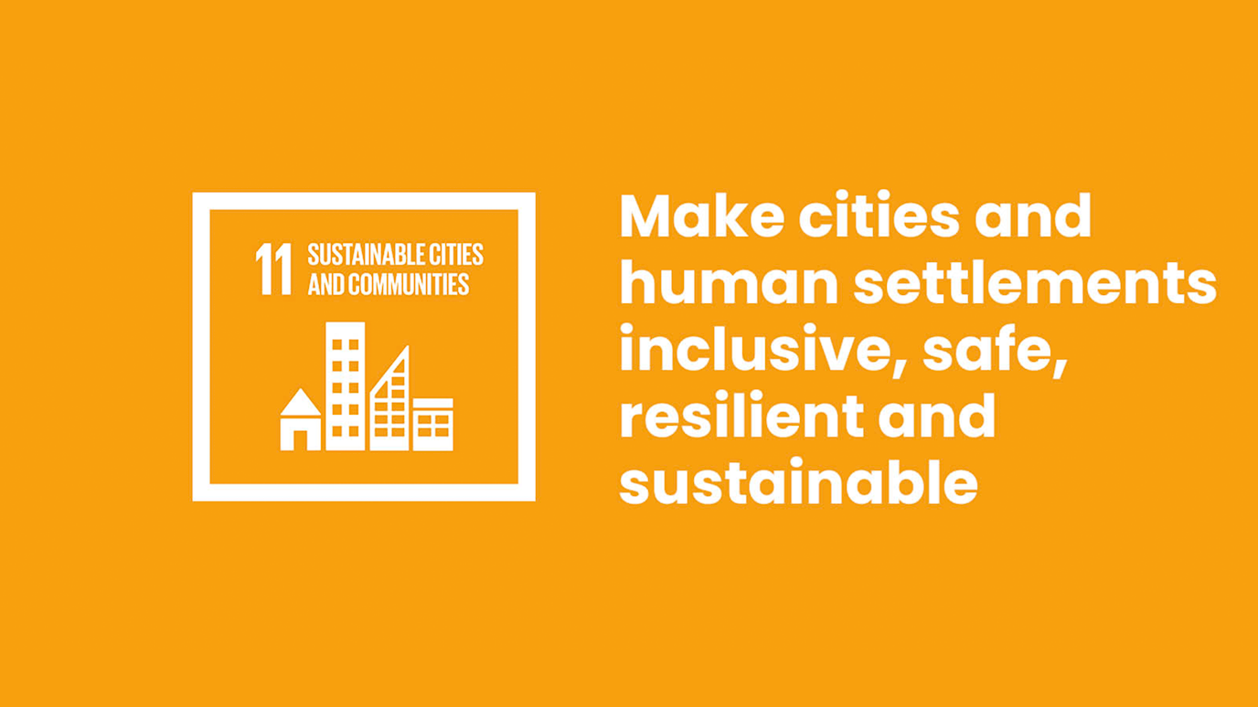 SDG 11 logo for website.png