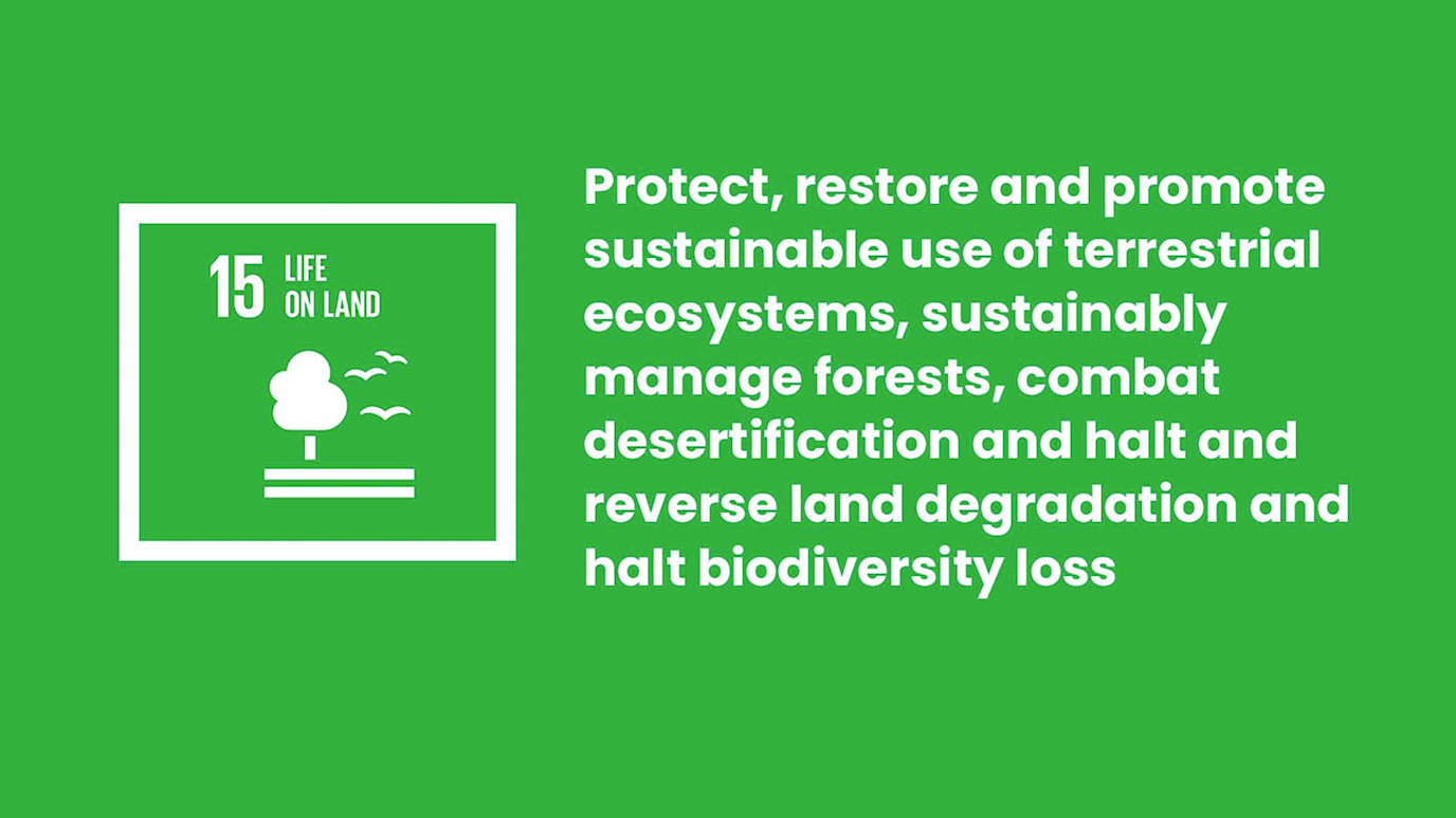 SDG 15 logo for website.png