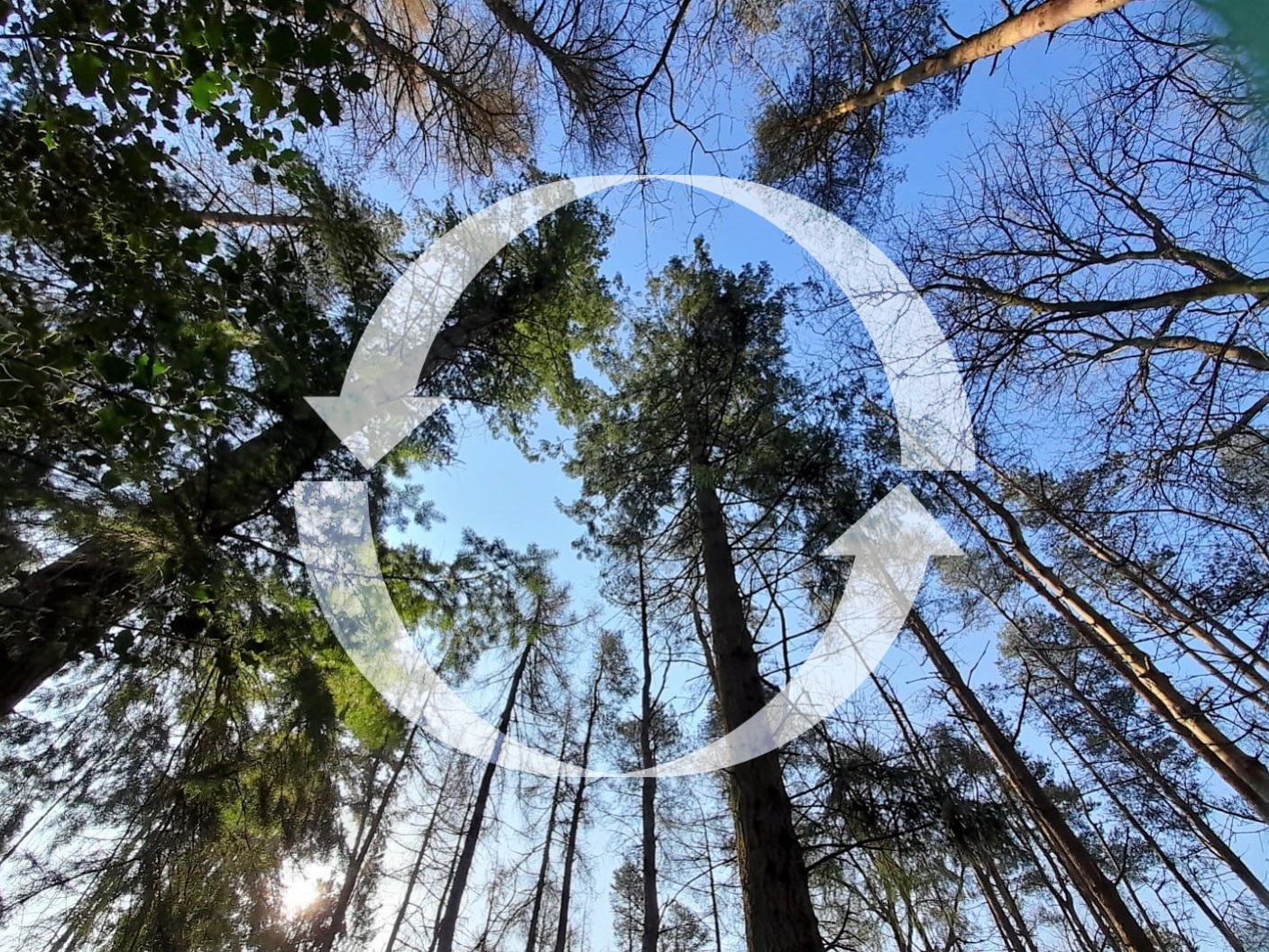 carbon cycle_Geography_2022