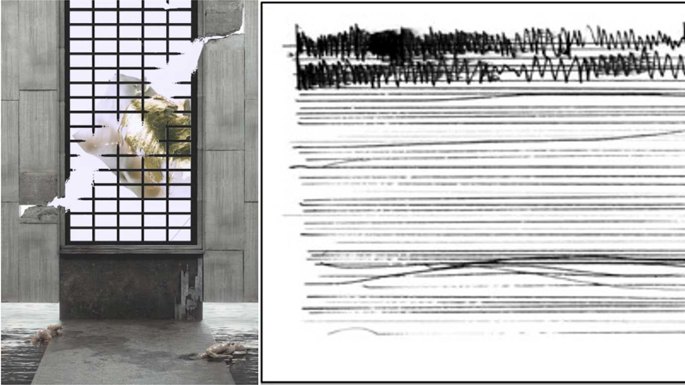 rca x cvc.jpg