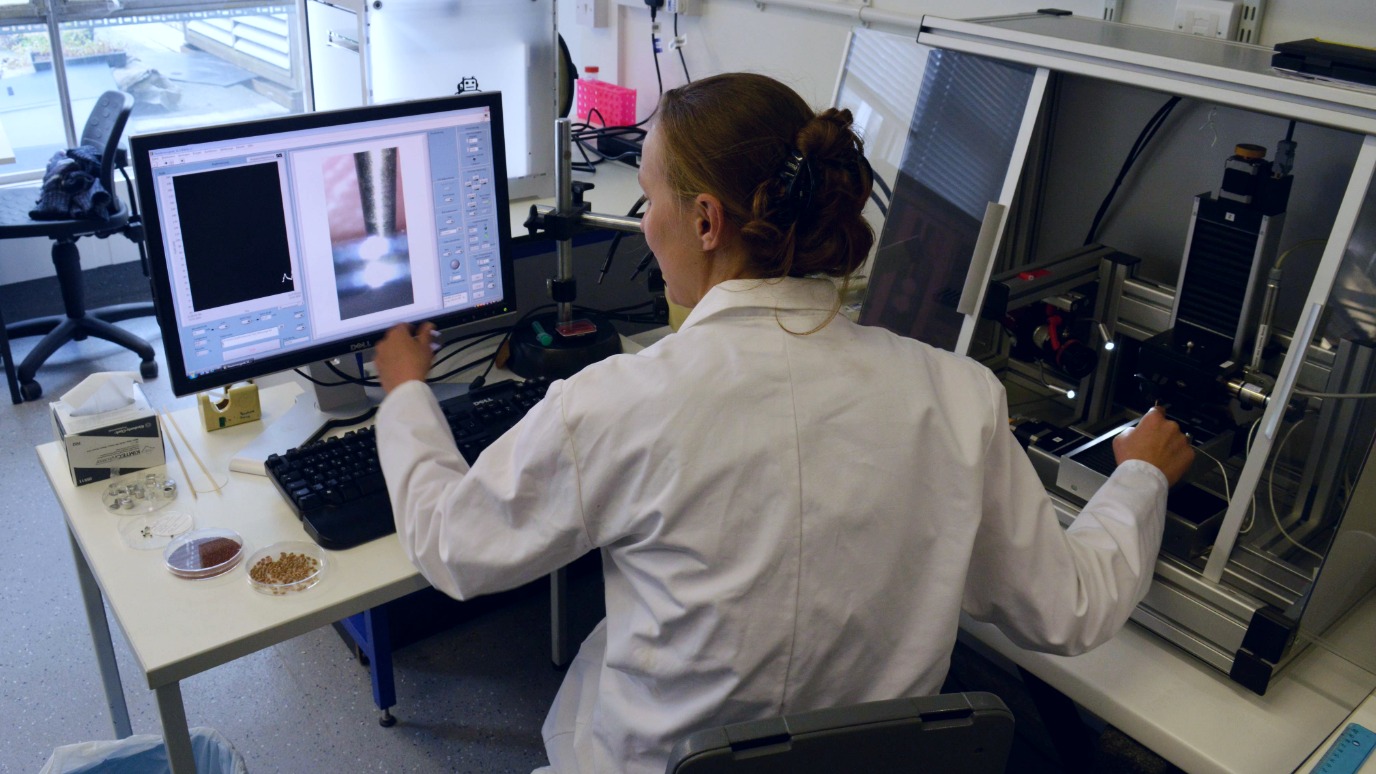 Tina at work in the Seed Biology and Technology Lab 