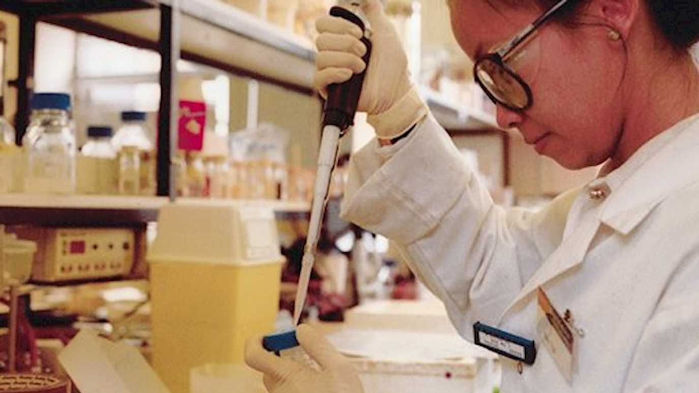 Person In Laboratory