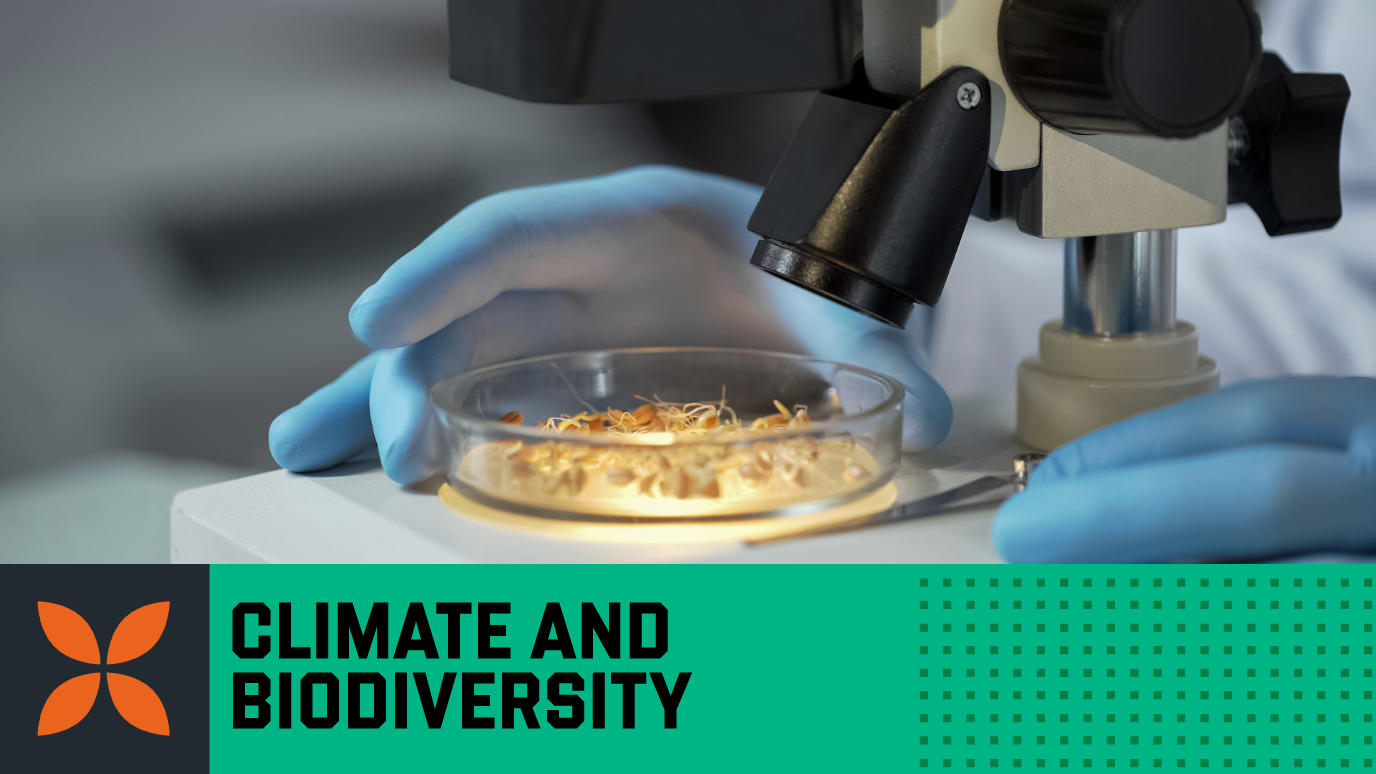 BioSci Seeds Hero Banner - Biological Sciences GettyImages-950594462